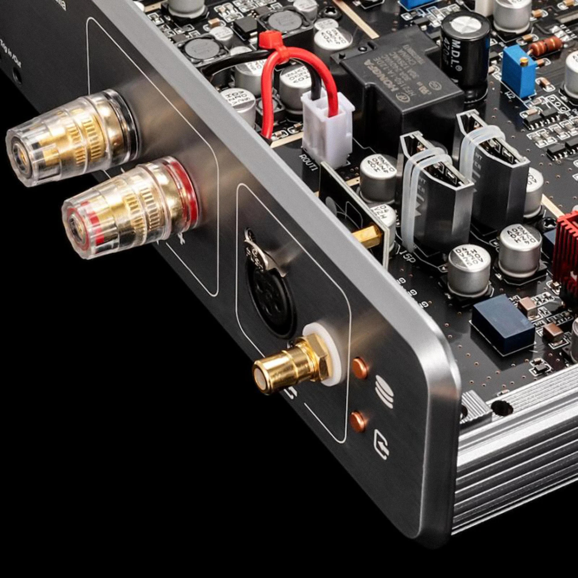 Burson Audio Timekeeper GT4 Mono Power Amplifiers (Pair) - Image 10