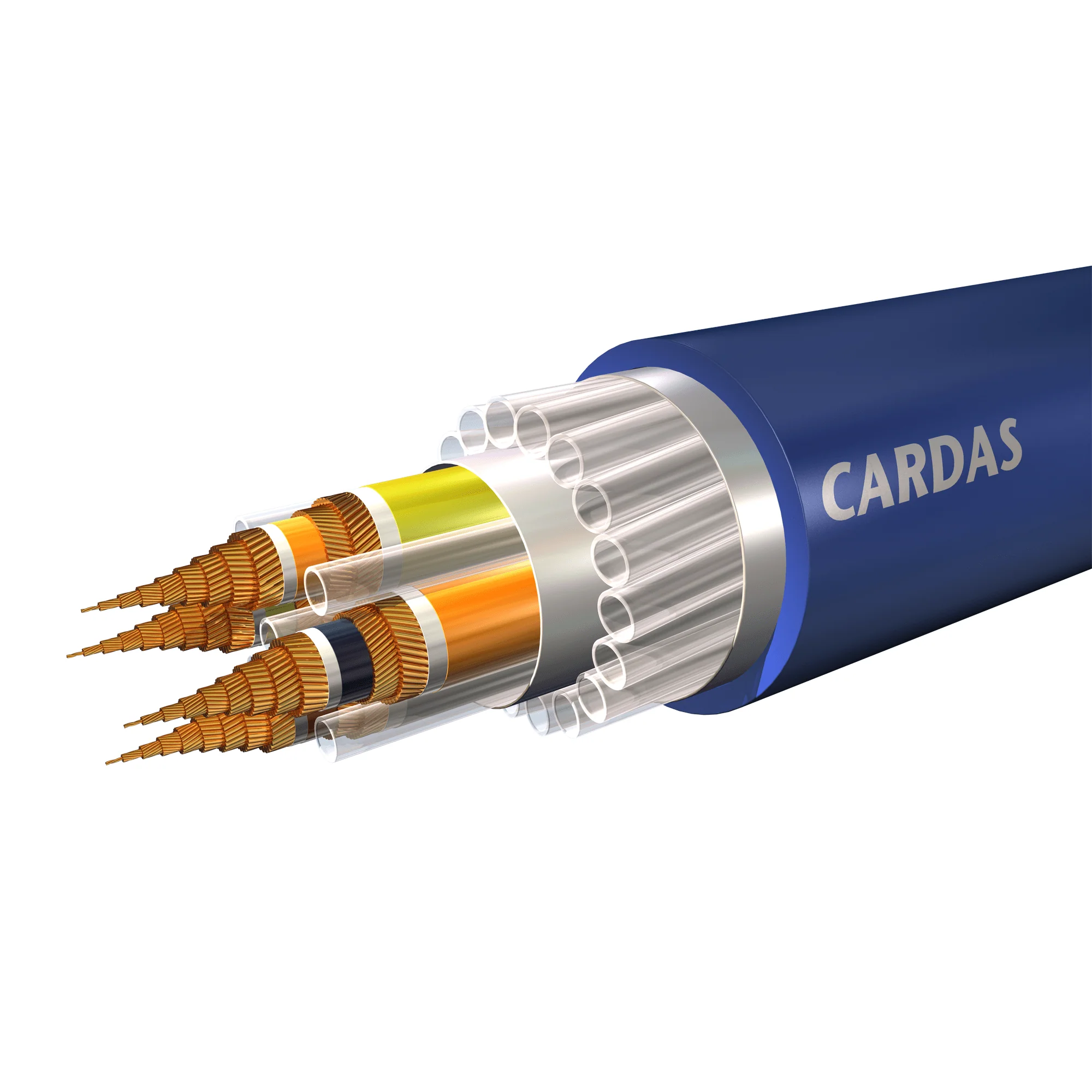 Cardas Audio Clear Beyond Power Cable with Australian Furutech Plug - Image 2