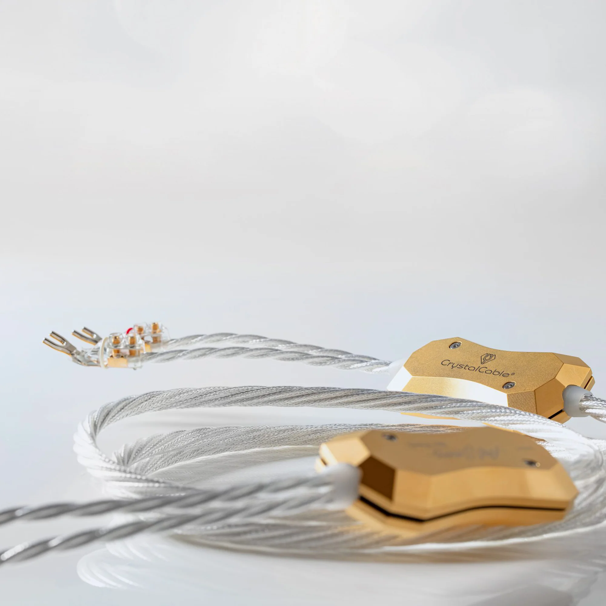 Crystal Cable Art Series Da Vinci Speaker Cable - Image 4