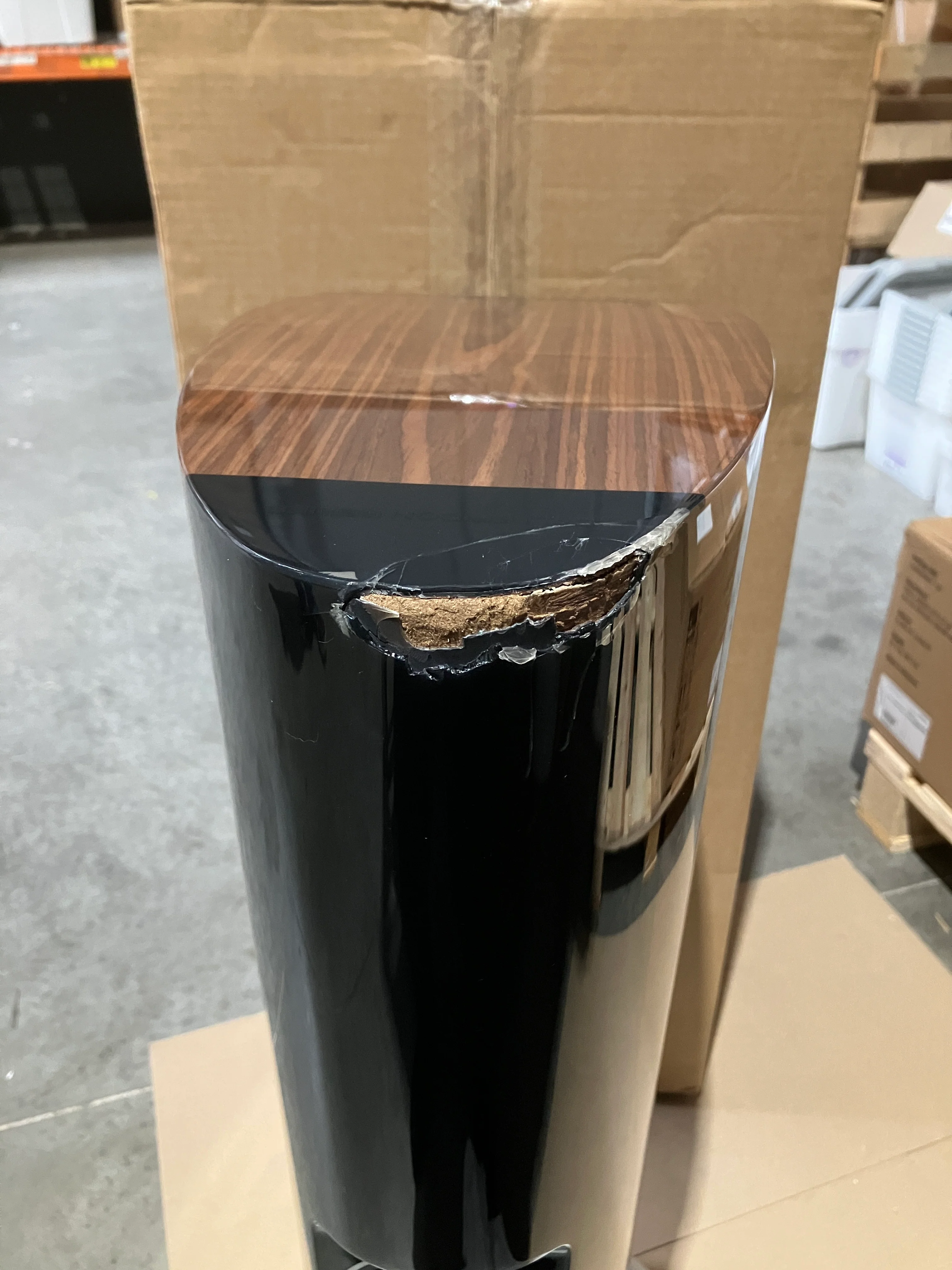 DALI EPICON 6 Floorstanding Speakers (Damaged Unit) (Pair) - Image 11