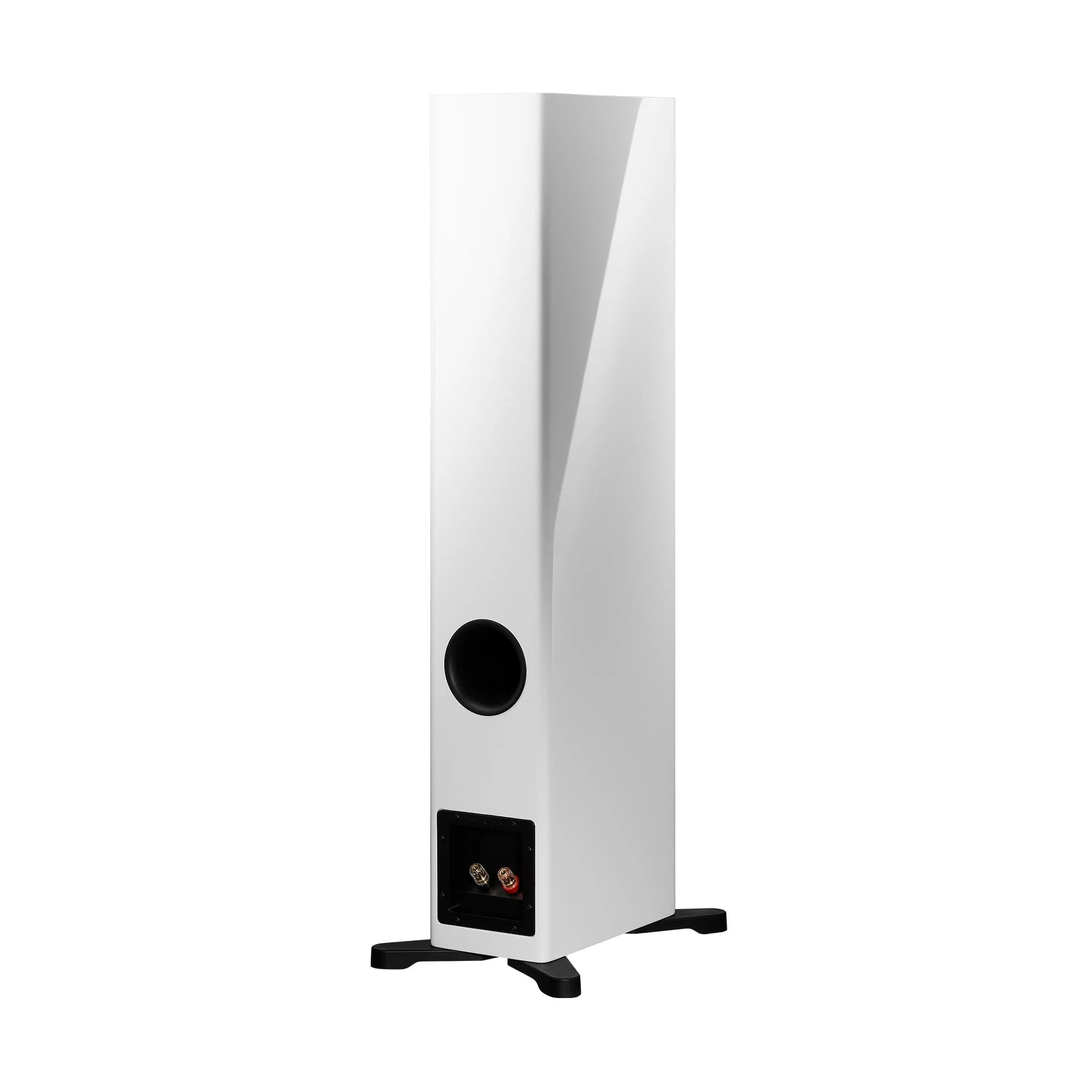 Dynaudio Evoke 30 Floorstanding Speakers (Pair) - Image 9