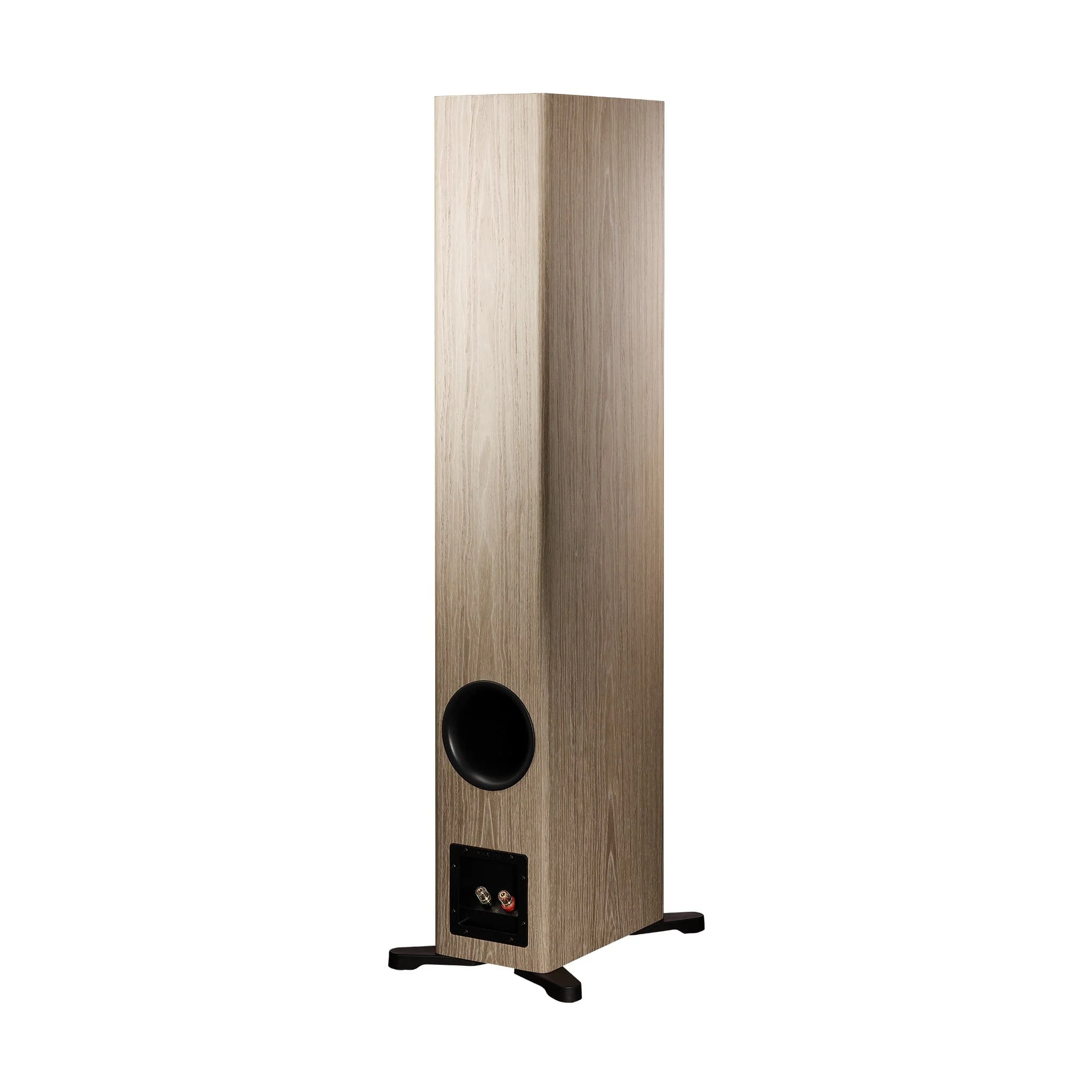 Dynaudio Evoke 50 Floorstanding Speakers (Pair) - Image 14