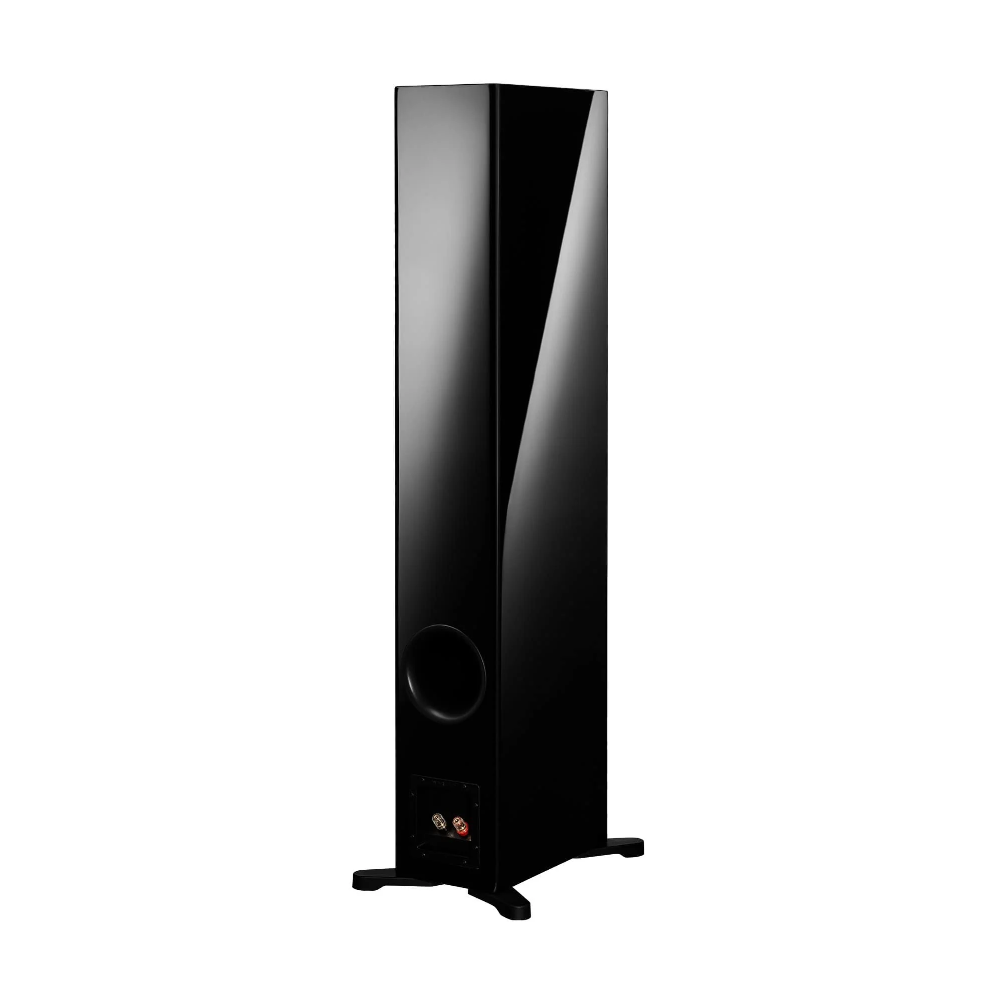 Dynaudio Evoke 50 Floorstanding Speakers (Pair) - Image 4