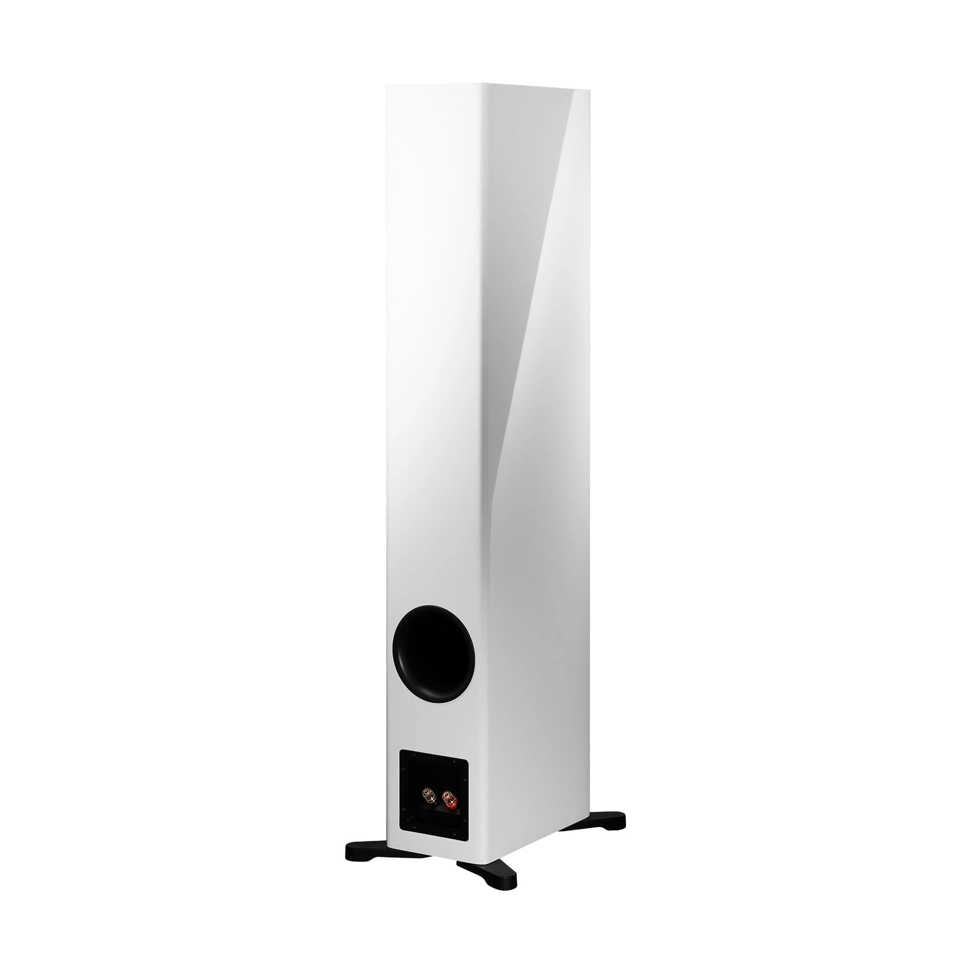 Dynaudio Evoke 50 Floorstanding Speakers (Pair) - Image 9