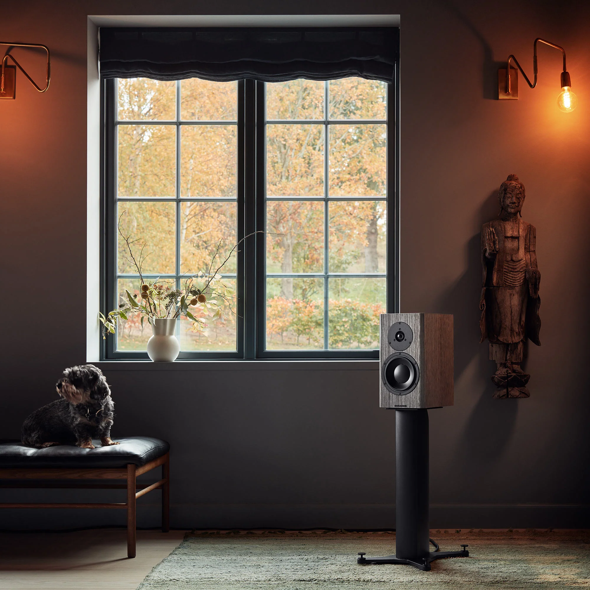 Dynaudio Special Forty Bookshelf Speakers (Pair) - Image 12