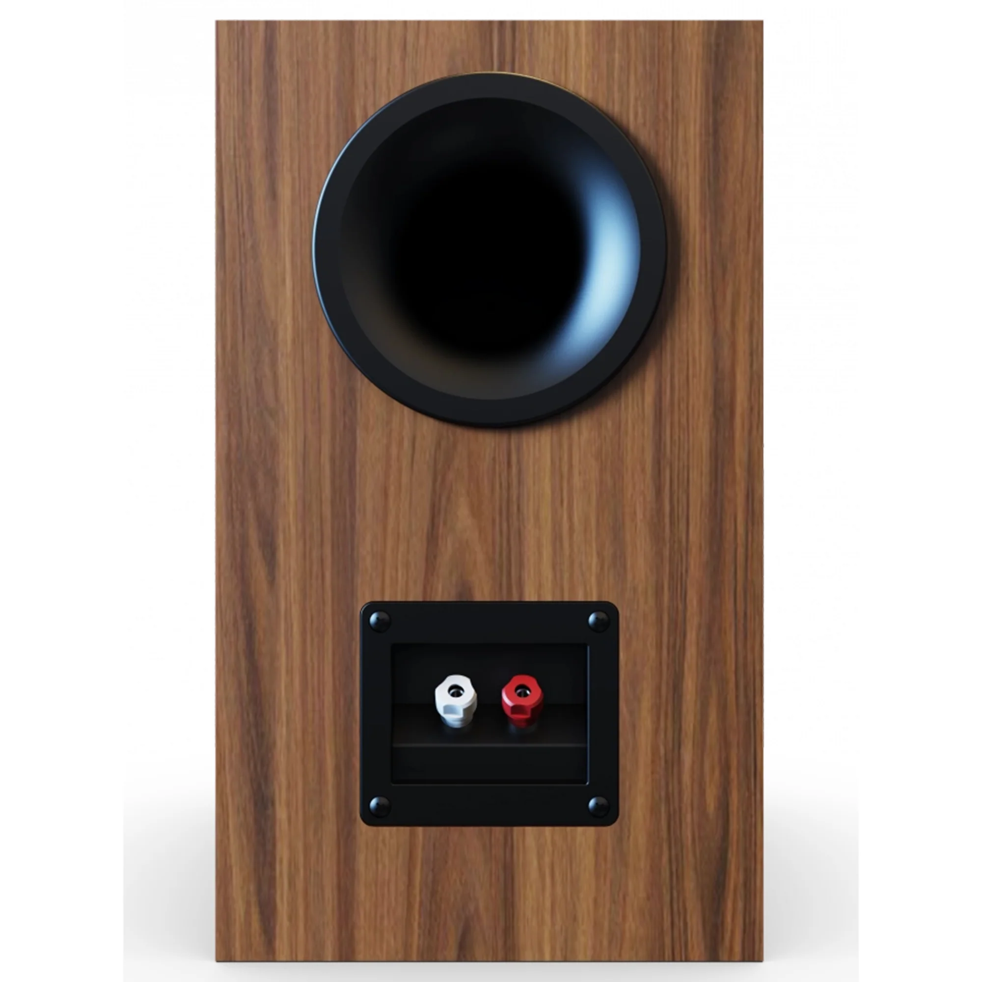 ELAC Debut 3.0 B6.3 Bookshelf Speakers (Pair) - Image 12