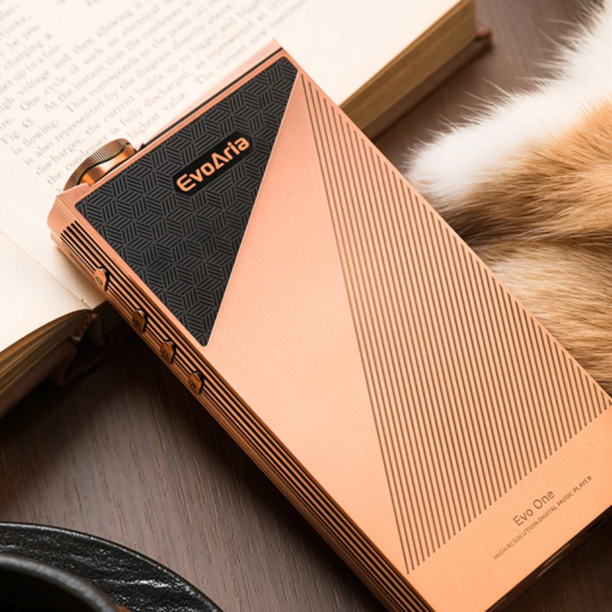 EvoAria Evo One Digital Audio Player - Image 5