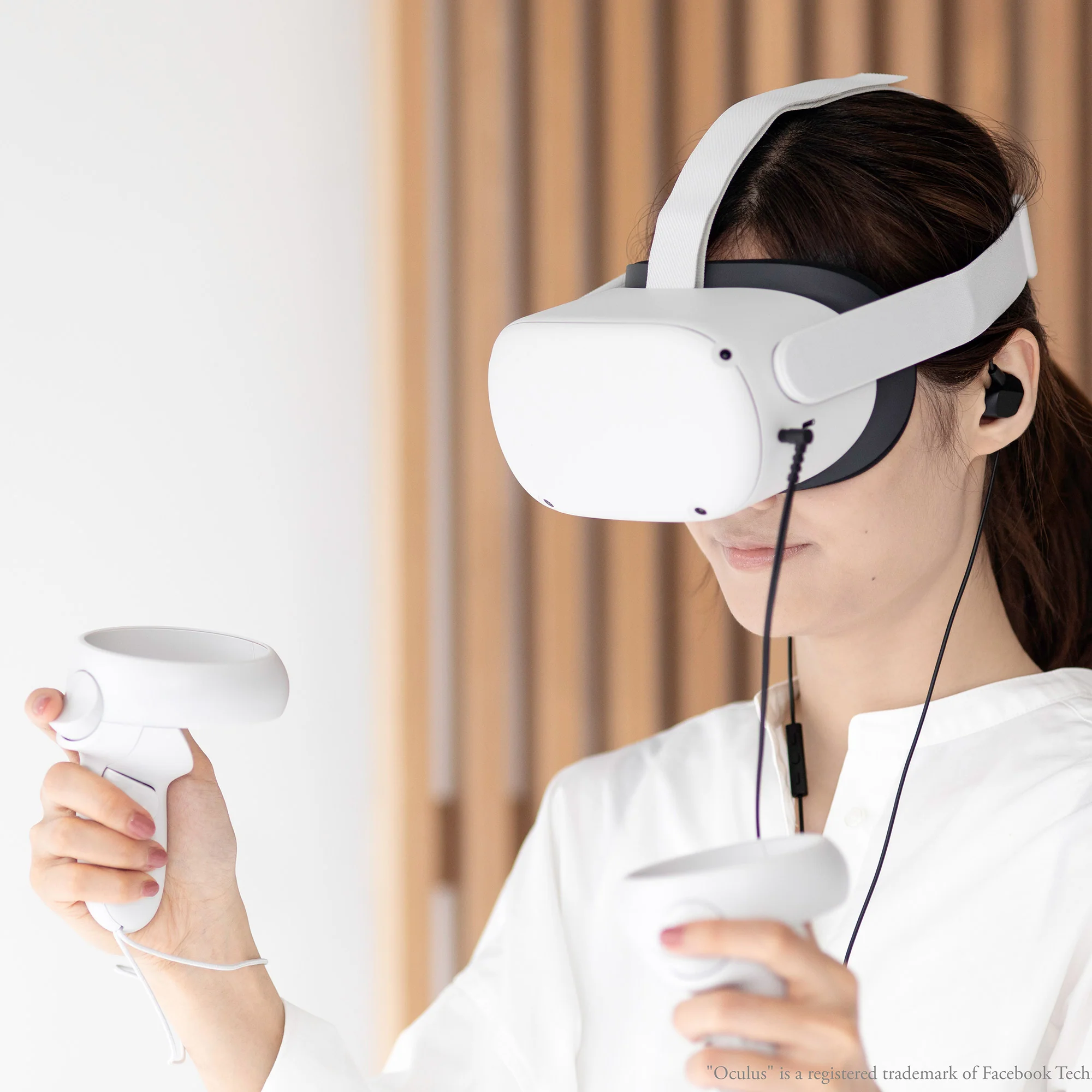 Final Audio VR3000 In-Ear Earphones - Image 13