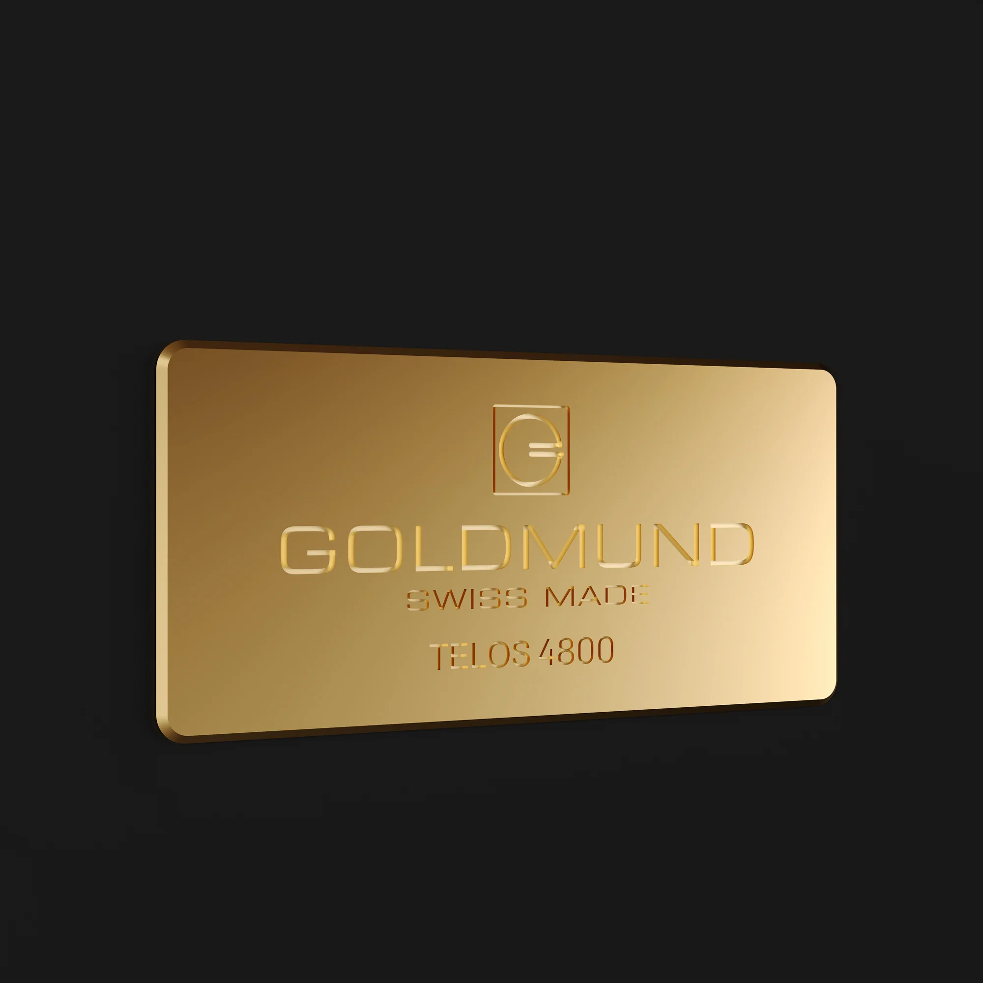 Goldmund TELOS 4800 Mono Power Amplifier - Image 11