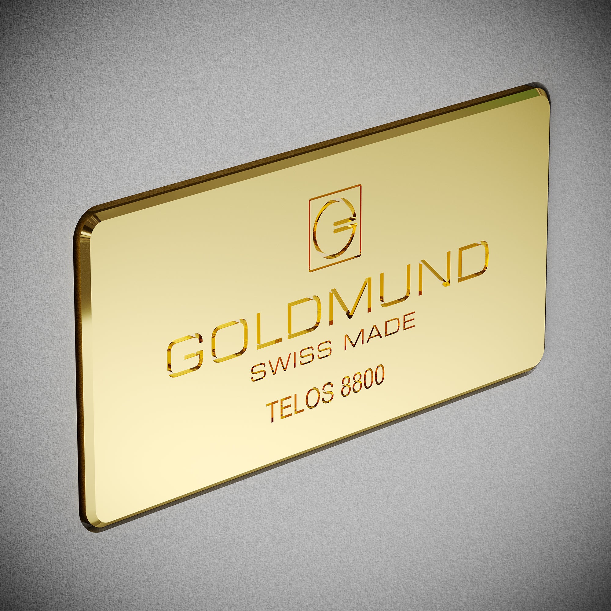 Goldmund TELOS 8800 Mono Power Amplifier - Image 11