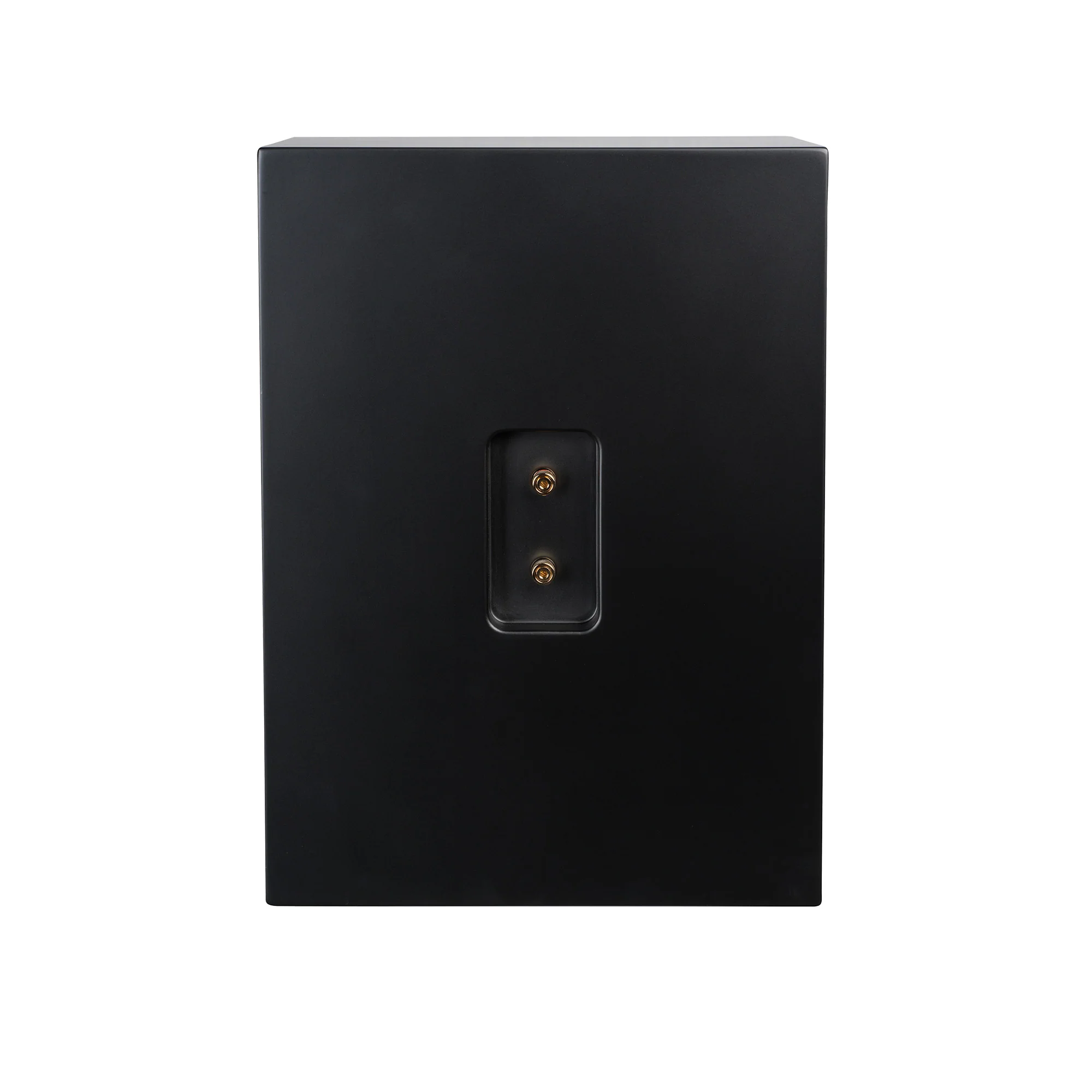 Lyngdorf CS-2 In-Cabinet Speakers (Pair) - Image 6