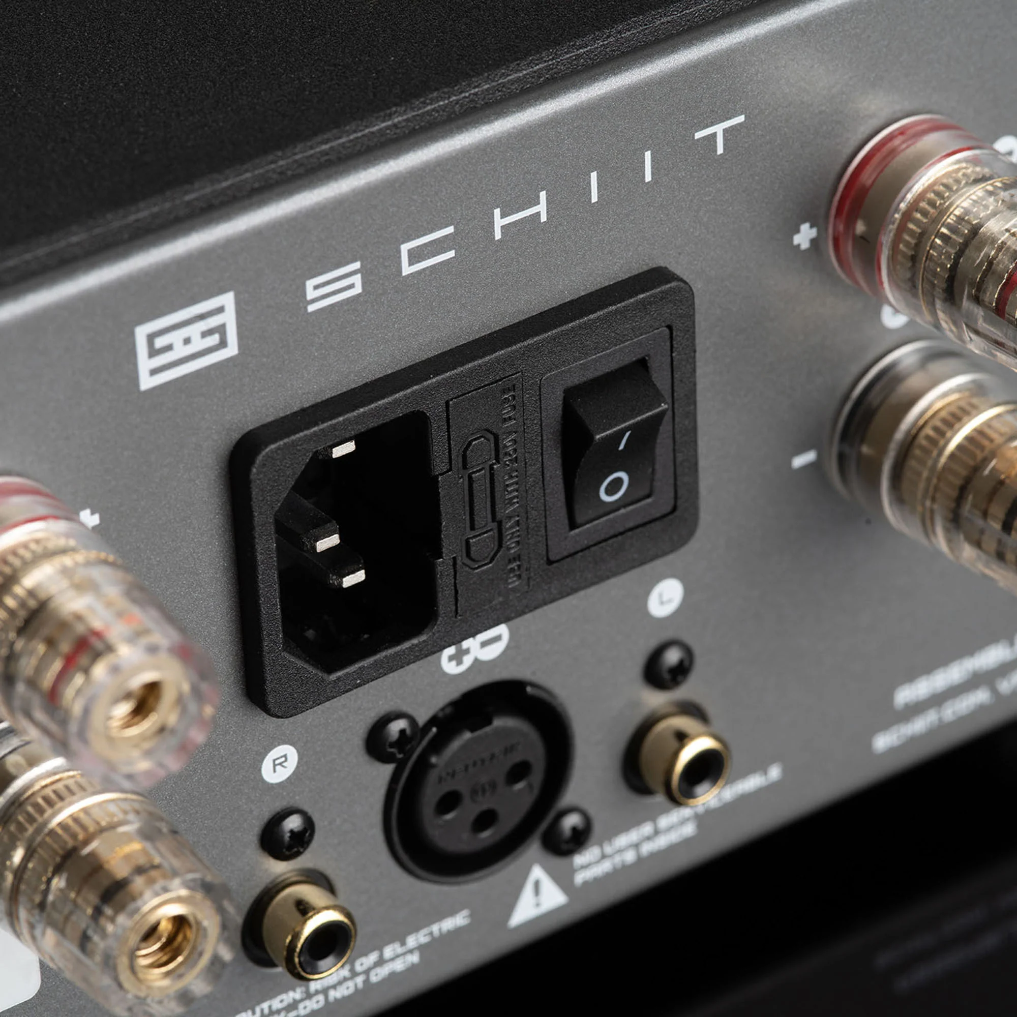 Schiit Audio Aegir 2F Power Amplifier - Image 3