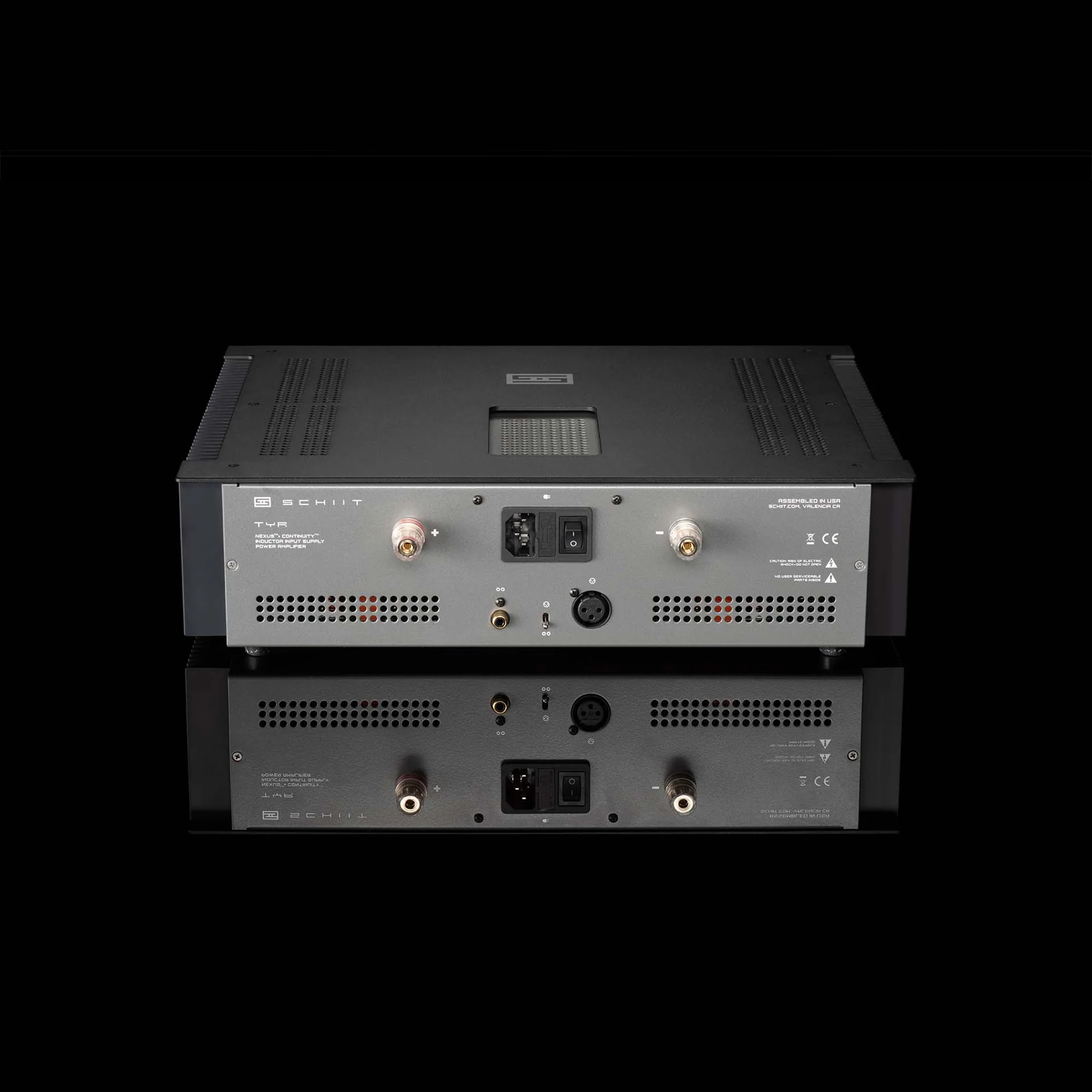 Schiit Audio Tyr Monoblock Power Amplifier (Each) - Image 3