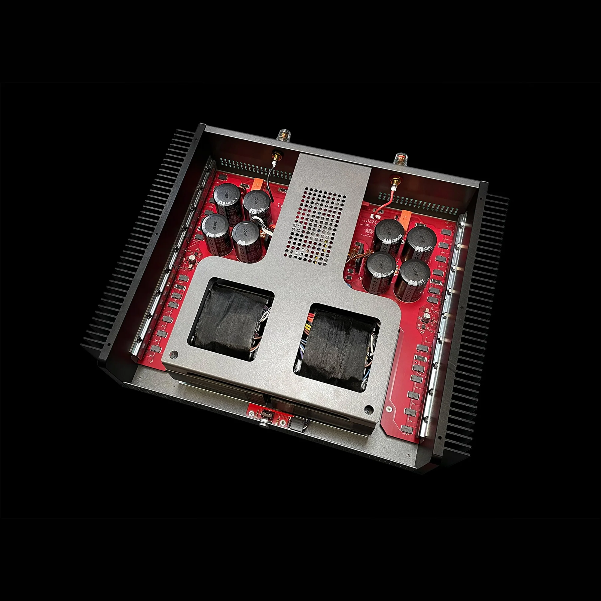 Schiit Audio Tyr Monoblock Power Amplifier (Each) - Image 5