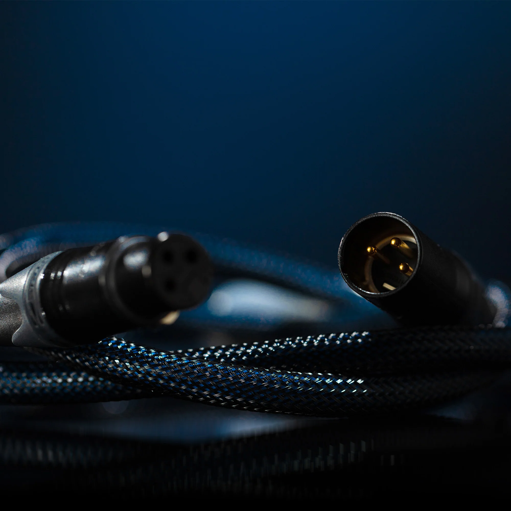 Siltech Classic Legend 380i Interconnect Cable - Image 2