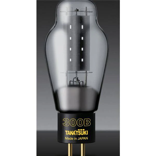 Takatsuki TA-300B Reference Vacuum Tubes (1 Pair)